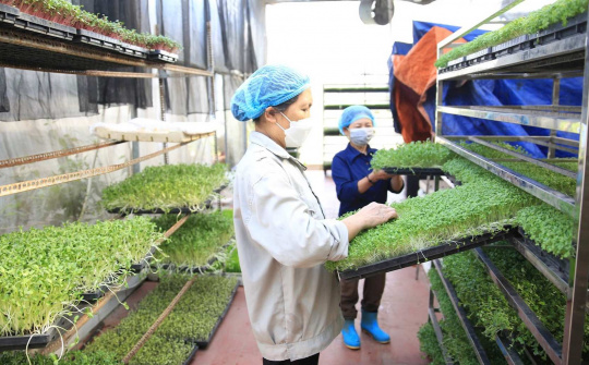 Một số giải pháp phát triển hợp tác xã trên địa bàn thành phố Hà Nội hiện nay