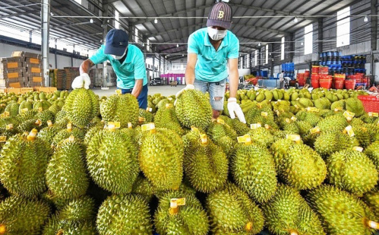 Nắm bắt các cơ hội mới tại thị trường truyền thống Trung Quốc