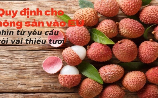 [E-magazine] Quy định cho nông sản vào EU, nhìn từ yêu cầu với vải thiều tươi