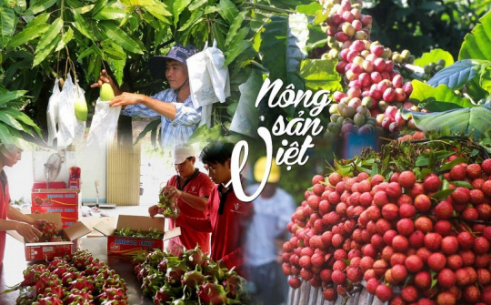Bộ Công Thương: Đồng bộ giải pháp đẩy mạnh xuất khẩu nông sản chủ lực