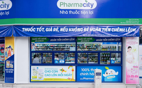 Các yếu tố ảnh hưởng đến quyết định chọn thương hiệu Pharmacity tại thành phố Hồ Chí Minh