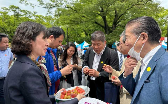 Những lô hàng vải thiều tươi sớm đầu tiên đã có mặt tại Lễ hội Việt Nam 2023 tại Nhật Bản