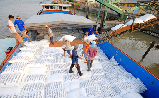 Giá gạo xuất khẩu tiếp tục neo cao, lực mua có phần hạ nhiệt