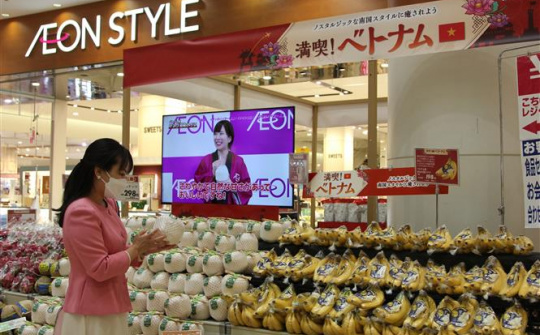 Xuất khẩu hàng Việt qua hệ thống phân phối AEON