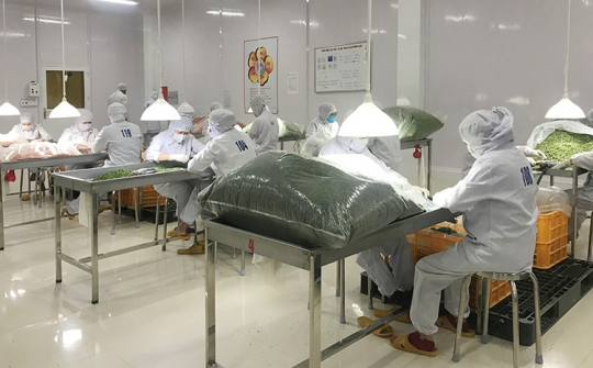 Khuyến công tỉnh Lâm Đồng: Trái ngọt sau 10 năm nỗ lực