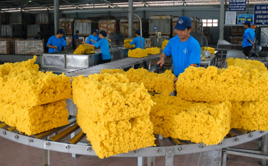 Công ty mẹ Cao su Phước Hoà (PHR) báo lãi quý 2/2023 tăng gấp gần 10 lần
