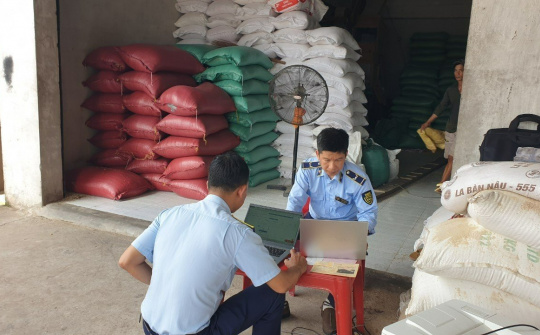 Tạm giữ 52 tấn gạo nhập khẩu không có nhãn phụ bằng tiếng Việt Nam