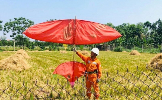 Hiểm họa từ thú chơi thả diều gần hành lang an toàn lưới điện