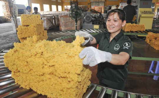 Thế giới vẫn có nhu cầu lớn về cao su tự nhiên, dự báo thị trường sẽ ổn định hơn trong năm sau