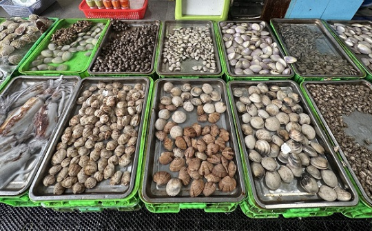 Khám phá thiên đường hải sản ở chợ Xóm Lưới Vũng Tàu