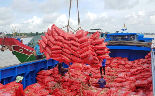 Giá gạo xuất khẩu Việt Nam lập kỷ lục mới, dự báo sẽ hưởng lợi lớn nếu Ấn Độ cấm xuất khẩu gạo