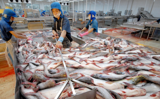 Vĩnh Hoàn (VHC): Doanh thu tháng 6 tiếp tục giảm 11%, đơn hàng cho quý 3 đang tăng lên