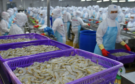 Giá tôm thương phẩm đã chạm đáy, xuất khẩu tôm kỳ vọng phục hồi dần từ quý 3/2023