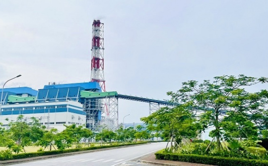 Nhiệt điện Thái Bình phát triển sản xuất kinh doanh gắn với bảo vệ môi trường