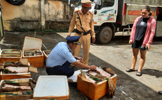 Nhiều vụ việc vi phạm về an toàn thực phẩm và giả mạo nhãn hiệu đã bị lực lượng QLTT phát hiện xử lý