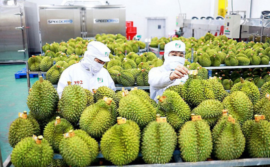 Cửa vào Trung Quốc đã mở, nông sản Việt chạy đua khai thác thị trường