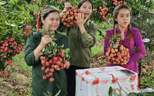 Nông sản trong giỏ hàng người trẻ