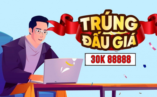 Các bước tham gia đấu giá biển số ôtô qua hình thức trực tuyến