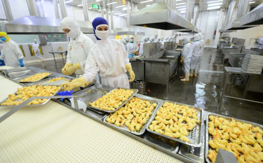 Thực phẩm Sao Ta: Lãi ròng giảm 21% nhưng xuất khẩu tôm đã xuất hiện “ánh sáng”