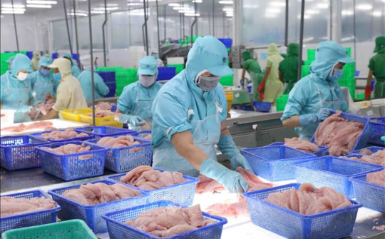 Kết nối thông tin, đa dạng hoá thị trường xuất khẩu