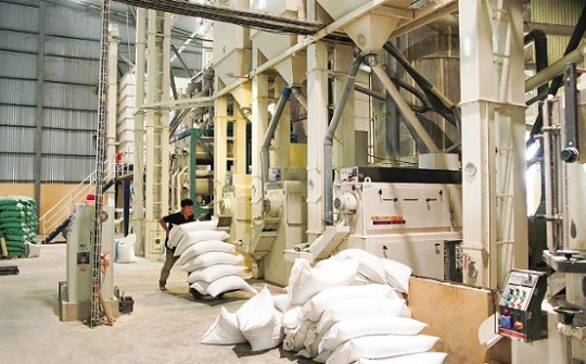 Giải pháp phát triển sản xuất - kinh doanh tại các doanh nghiệp chế biến lúa gạo TP. Cần Thơ đến năm 2030