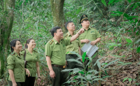 Kiểm lâm Thái Nguyên: Phát huy vai trò lực lượng nòng cốt trong công tác bảo vệ rừng