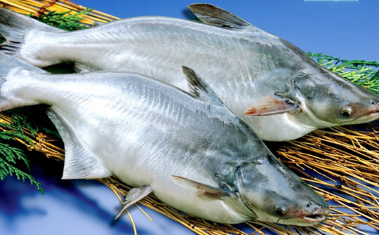 Tổng hợp dung môi sâu ethyleneglycol/2-heptylbenzimidazole ứng dụng làm giàu omega-3 từ methylester của mỡ phụ phẩm cá basa