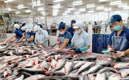 Thêm doanh nghiệp được xuất khẩu thủy sản sang Đài Loan (Trung Quốc)
