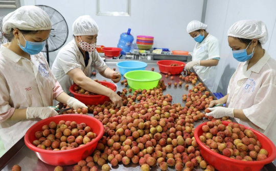 Bức tranh kinh tế - xã hội 6 tháng đầu năm 2023 có thêm điểm sáng