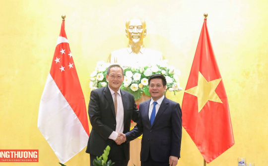 Hỗ trợ doanh nghiệp Singapore đầu tư điện gió, điện gió ngoài khơi tại Việt Nam