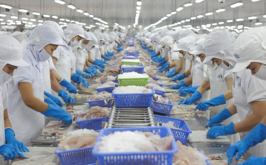 Thiết chế Ban kiểm soát trong công ty cổ phần theo Luật Doanh nghiệp năm 2020