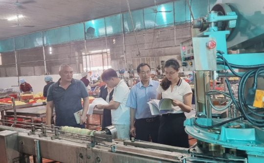 Ninh Bình: Nhiều giải pháp nâng cao chất lượng công tác khuyến công