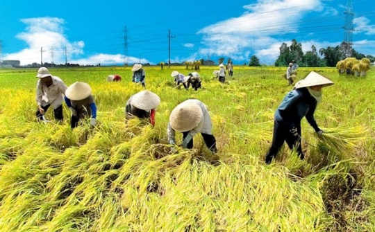 Phát triển cơ giới hóa một số ngành hàng nông nghiệp chủ lực của tỉnh An Giang năm 2022 - Những vấn đề đặt ra
