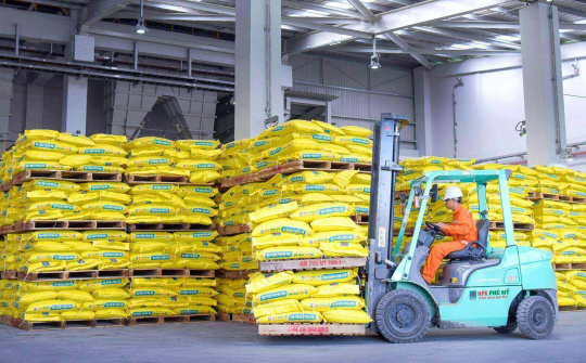 Giá phân ure trong nước rục rịch lên giá khi giá phân bón thế giới dự báo sẽ tăng mạnh