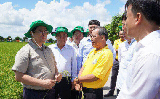 Thành lập Trung tâm đầu mối nông sản và thuỷ sản nước ngọt vùng Đồng Tháp Mười