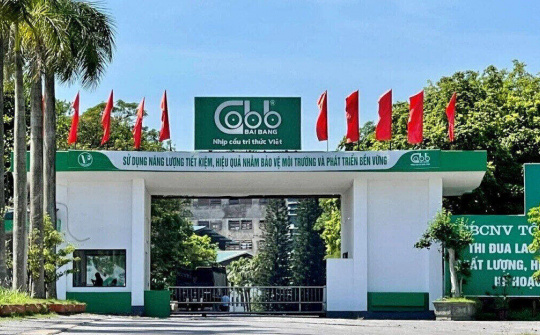 VINAPACO: Nỗ lực để sản xuất “xanh ” thân thiện hơn với môi trường