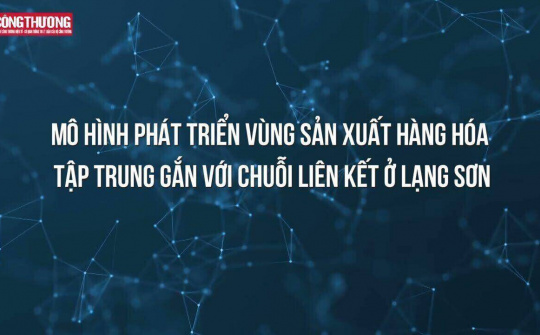 Mô hình phát triển vùng sản xuất hàng hóa tập trung gắn với chuỗi liên kết ở Lạng Sơn