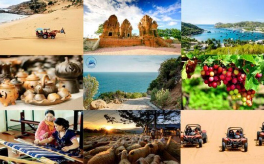 Ninh Thuận: Thành lập Trung tâm Xúc tiến Đầu tư, Thương mại và Du lịch