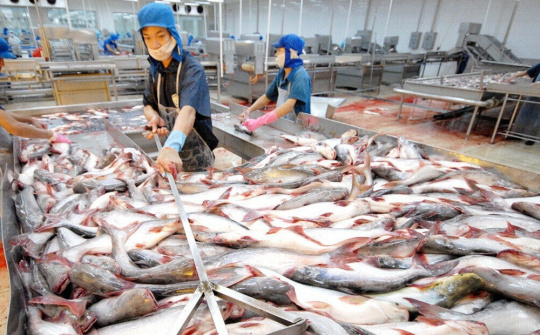 Kỳ vọng xuất khẩu cá tra phục hồi từ quý 3