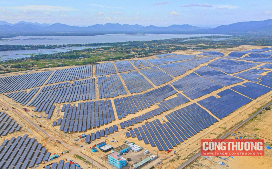 Bamboo Capital: Kinh doanh phục hồi tích cực, cổ phiếu BCG “trần cứng”