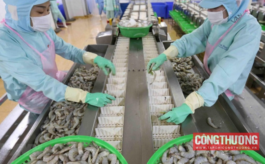 Thực phẩm Sao Ta (FMC): Doanh số tháng 7 phục hồi mạnh, dự báo xuất khẩu nửa cuối năm tăng tốc