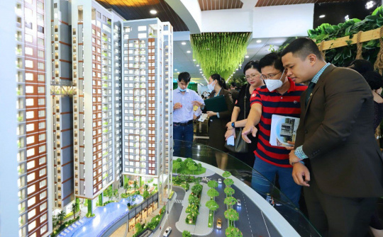 Tập đoàn Đất Xanh sẽ mua thêm 27,5 triệu cổ phiếu DXS từ VinaCapital và Dragon Capital