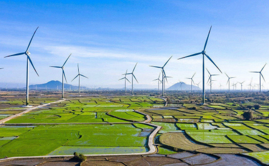 Tập đoàn Gelex (GEX): Hầu hết các mảng kinh doanh đã phục hồi tích cực