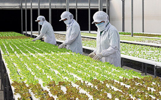 Phát triển kinh tế tuần hoàn trong nông nghiệp ở Việt Nam