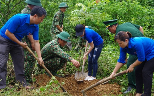 Triển khai Tuyên bố Glasgow về rừng và sử dụng đất