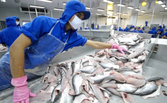 Trung Quốc cấm nhập thủy sản từ Nhật Bản, Việt Nam liệu có hưởng lợi?