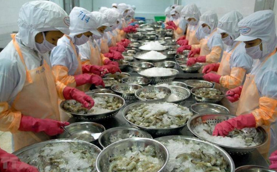 Doanh nghiệp xuất khẩu thủy sản Việt Nam tìm kiếm cơ hội tại thị trường Nhật Bản