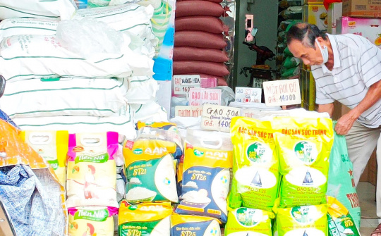 TP. Hồ Chí Minh: Triển khai các biện pháp quản lý, điều hành giá mặt hàng thiết yếu