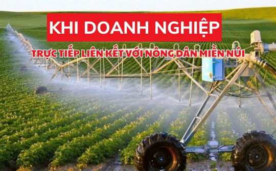Khi doanh nghiệp trực tiếp liên kết với nông dân miền núi