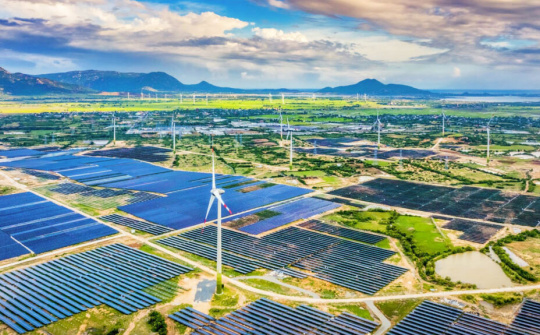 Triển khai Bản ghi nhớ về quan hệ Đối tác Kinh tế xanh - Kinh tế số Việt Nam - Singapore